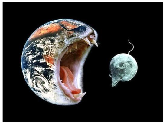 cat_earth_eating_mouse_moon-7517